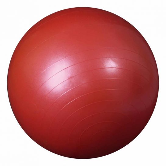 Гимнастический мяч с ABS L 0765b