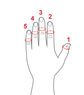 Многофункциональный ортез для пальцев Reh4Mat OKG-20 II