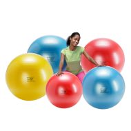 Фитбол (гимнасический мяч) Body ball Gymnic с BRQ, 55 см