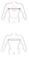 Ортез на клиновидную грудь Reh4Mat Carinatum AM-TX-04 детский